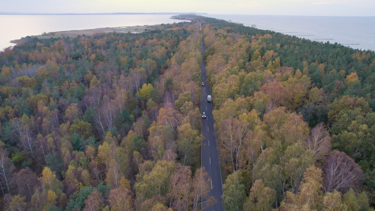 해안 근처 에 있는 밀집 한 가을 숲 을 가로질러 가는 도로 의 공중 사진