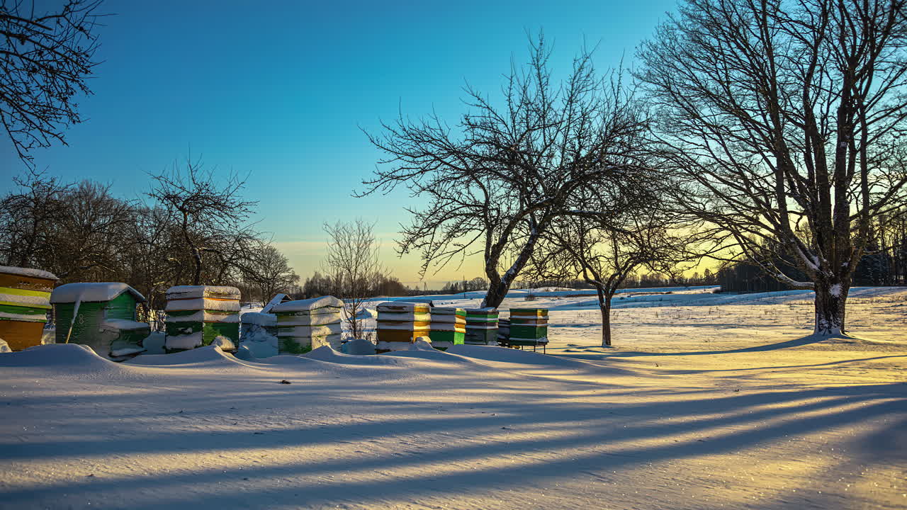 타임 스 (time-lapse) 는 나무와 은 하늘이 있는 겨울의 경이로운 시골 지역을 지나가는 시간입니다.