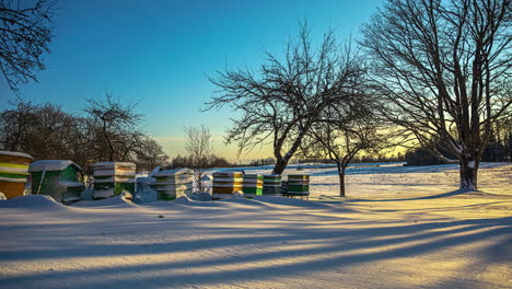 Zeitraffer-Zeit,-Die-An-Einem-Ländlichen-Winterwunderland-Mit-Bäumen-Und-Klarem-Himmel-Vorbeizieht