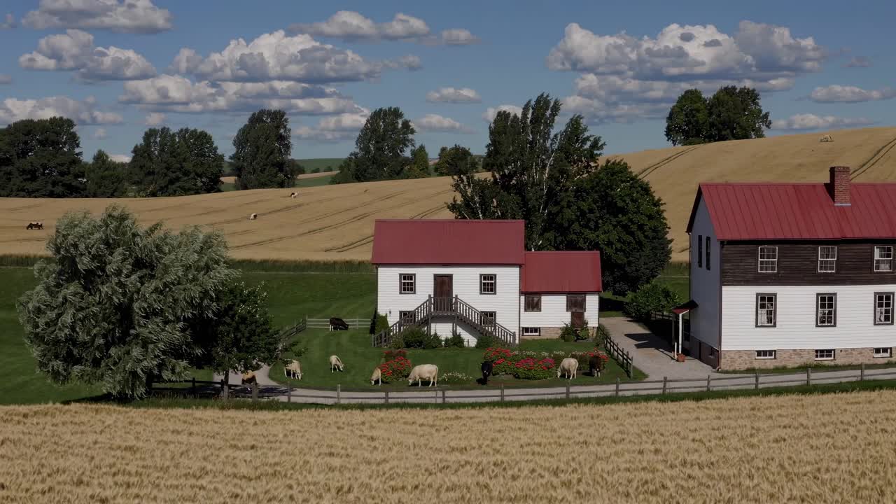 Luftfoto af en landbrugsejendom med røde tage, græssende får og gyldne marker under en blå himmel
