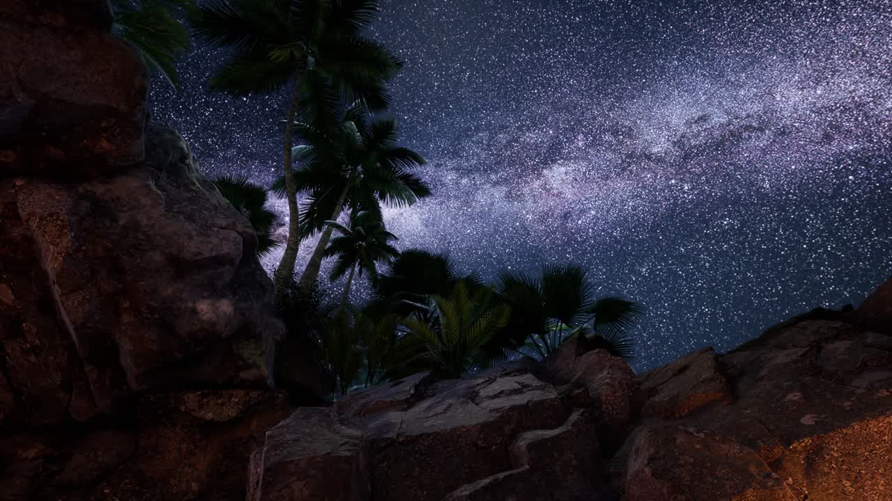 4K hyperlapse star trails over sandstone canyon walls and palms