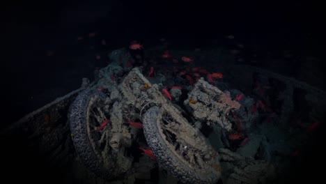 School-of-goldfish-swim-over-old-bikes,-on-top-of-a-truck-from-the-Thistlegorm-shipwreck-in-Shaab-Ali,-Red-Sea,-Egypt