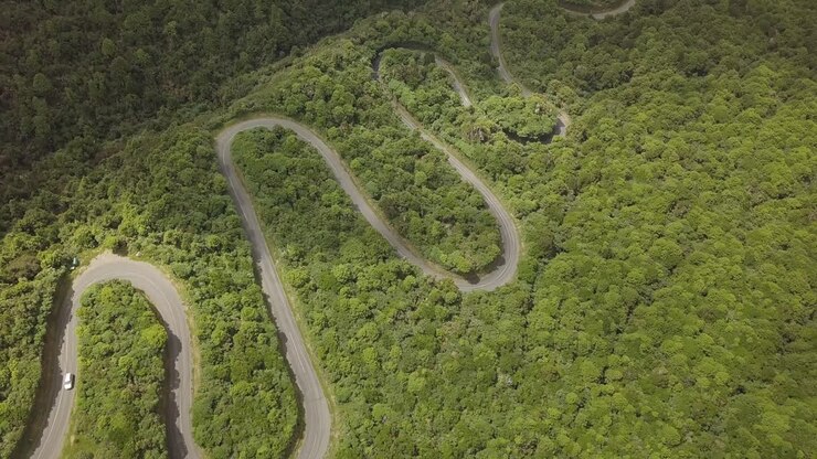 Ripresa aerea dall'alto sopra una solitaria strada serpeggiante nel Parco Nazionale di Egmont, Isola del Nord, Nuova Zelanda.