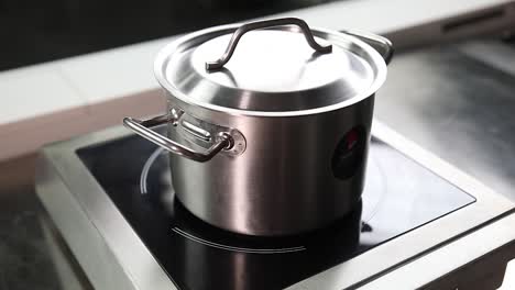 stainless steel pot on induction cooktop