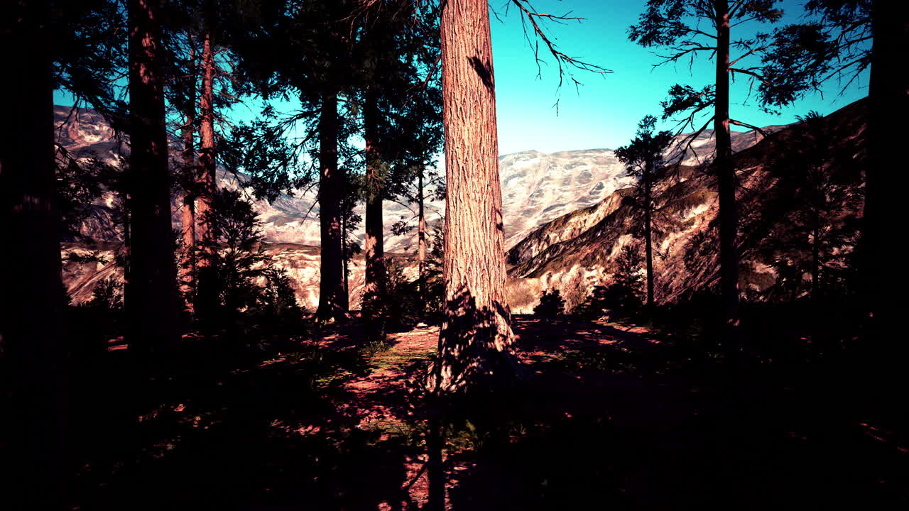 paisaje forestal de montaña