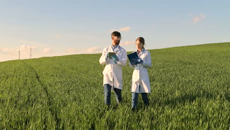 caucasian female and male researchers in white coat, mask and googles using tablet and taking notes while doing pest control in the green field