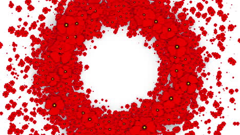 animation of a round wreath of red poppies. summer floral abstract background with small flowers. looped motion graphics.