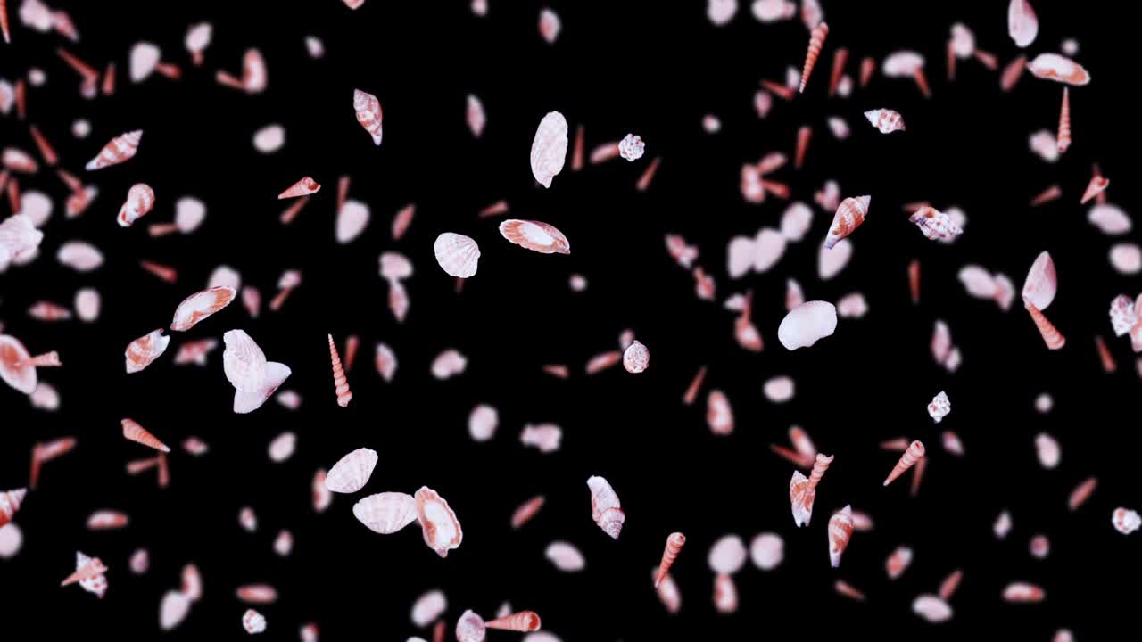 검은 바탕에 많은 바다 데기를 날아. 현실적인 조개 모양의 컬렉션. 열대 수중. 회전하는 데기의 3d 루프 애니메이션.