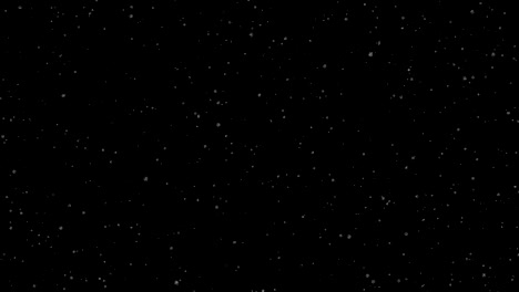 winter snowfall. uniform fall of soft snow on a black background. looped