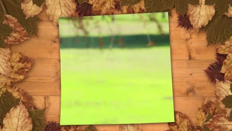 marco de hojas de otoño y pantalla que muestra a un niño jugando con hojas de otoño en el bosque 4k
