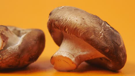 Haufen-Champignons,-Nahaufnahme,