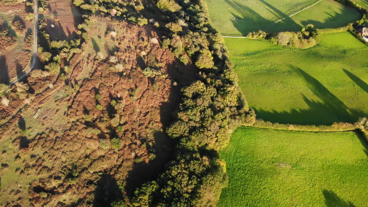 toma aérea hacia abajo que muestra hermosas sombras en los campos y brezo en fire beacon hill sidmouth devon, inglaterra