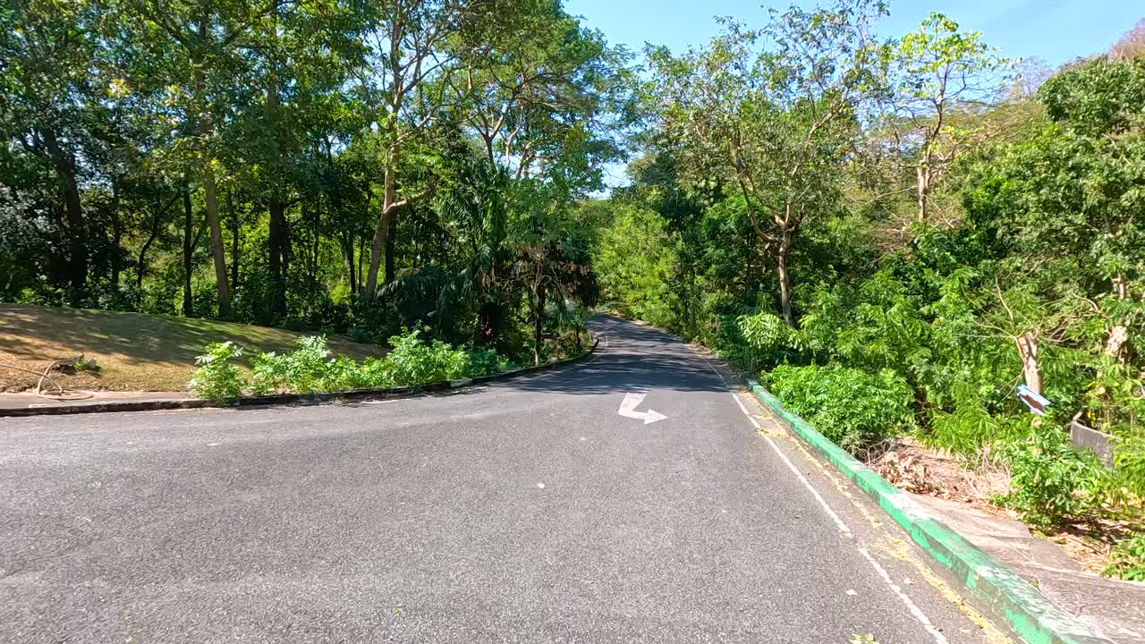A serene drive through lush greenery at Khao Kheow Open Zoo, Chonburi. Bright daylight enhances the vibrant natural surroundings