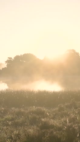 misty sunrise over a lake