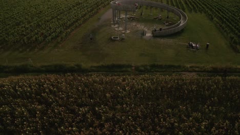 aerial drone reveal shot flying low over backlit vineyards and close to a spiral shaped sightseeing tower in moravia, czech republic