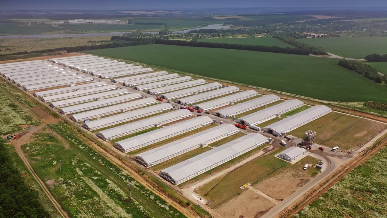 Aerial view on a farm surrounded with agriculture fields. Big territory with many modern buildings for poultry on a sunny summer day.