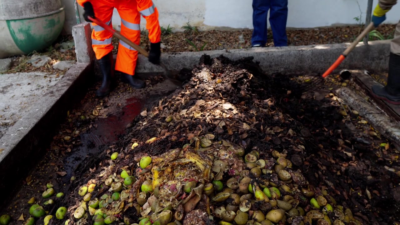 Unrecognizable workers in safety gear use shovels and rakes to turn a pile of urban and agro-industrial organic waste, part of a sustainable circular agribusiness model in Mexico. This process contrib