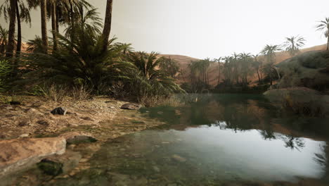 Escena-Colorida-Con-Una-Palmera-Sobre-Un-Pequeño-Estanque-En-Un-Oasis-En-El-Desierto