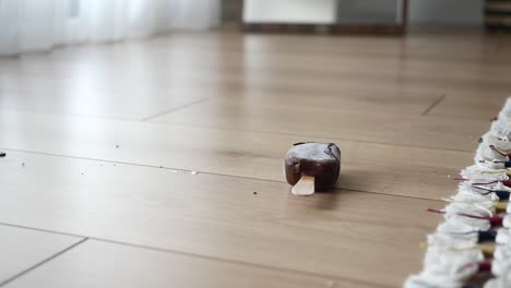 dropped ice cream stick on wooden floor