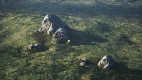 Alpine-landscape-with-big-stones