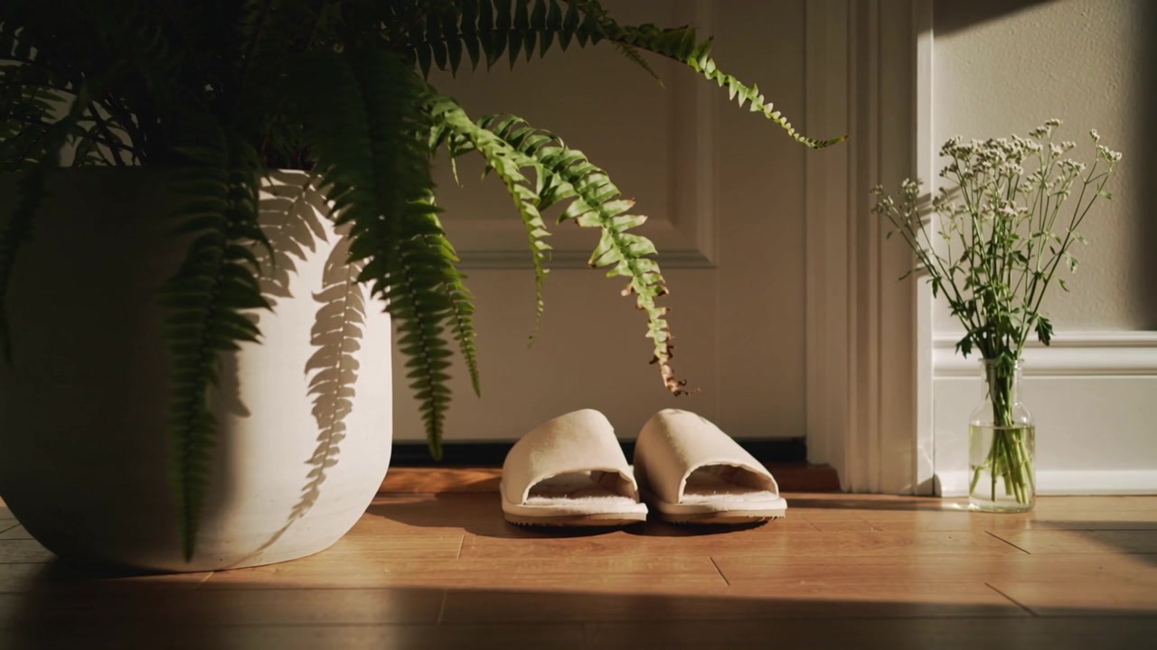 Sunbeam sweeping across entry, casting fern shadows and brightening beige slippers near vase
