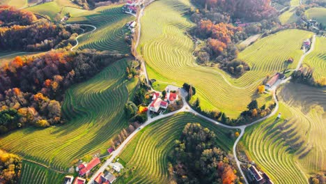 stunning aerial 4k drone footage of an wine region of jeruzalem, slovenia