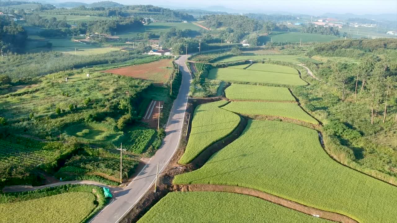 beautiful aerial view of paddy farmland , Gwangju, South Korea