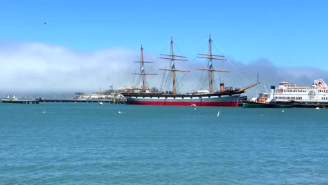 gente nadando en la bahía de san francisco, california