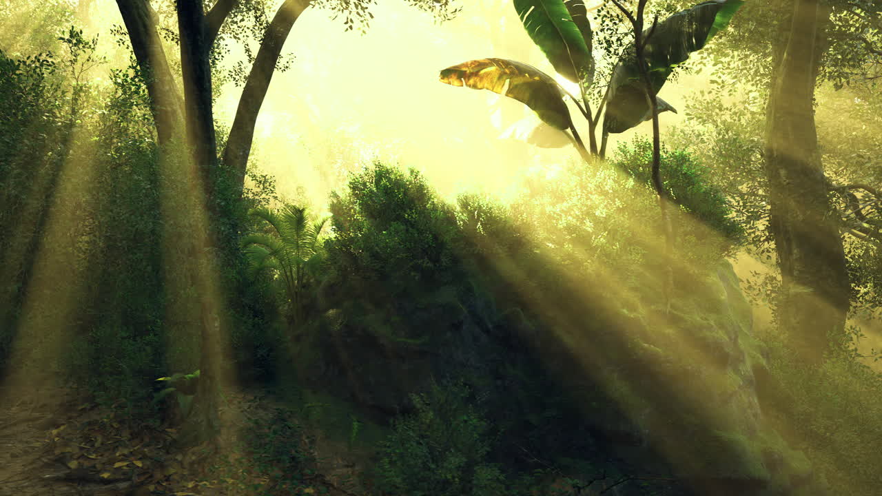 Sunlight streams through lush greenery in a vibrant forest setting