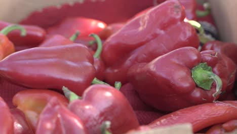 Pimientos-Rojos-Orgánicos---Alimentos-Orgánicos