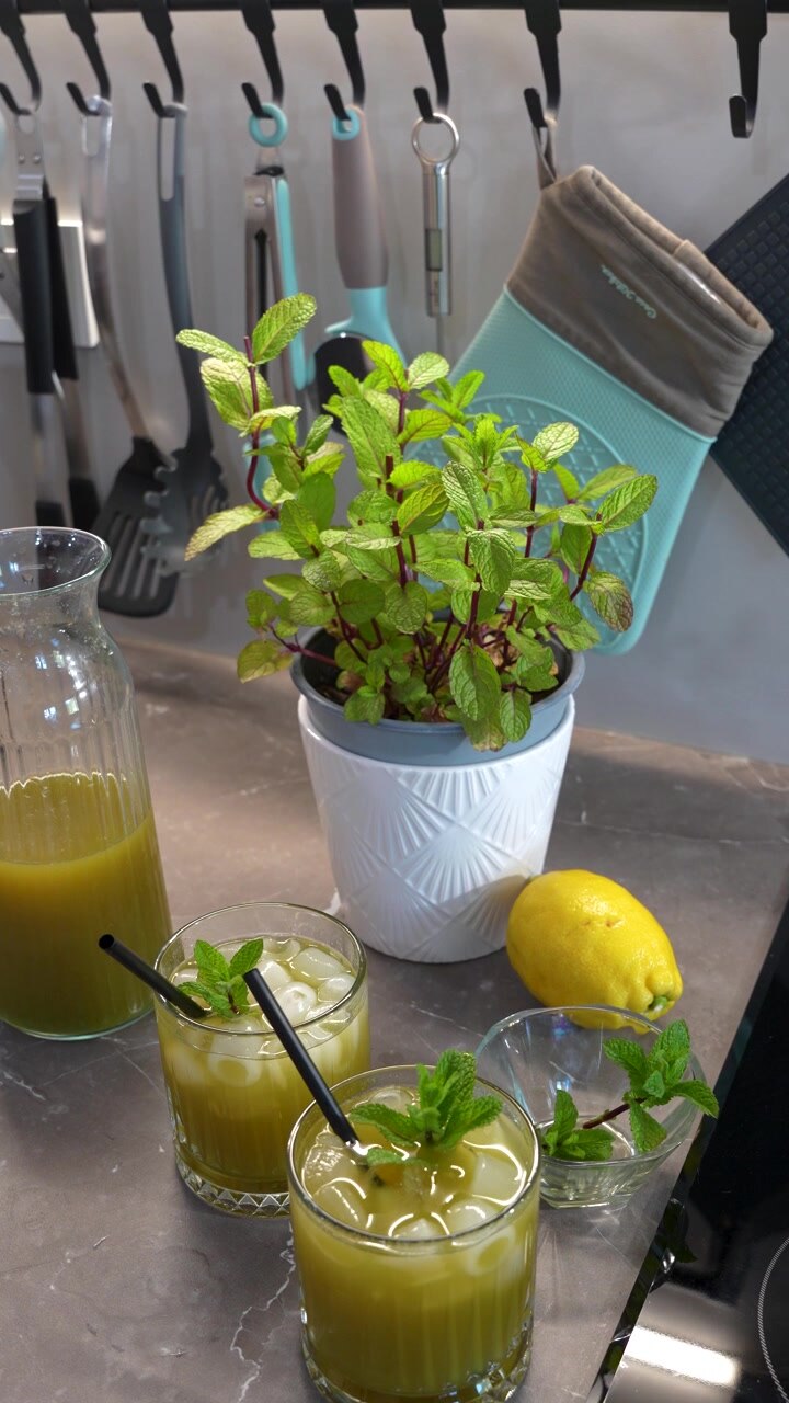Bicchieri di limonata alla menta con cannucce e rametti di foglie e ghiaccio accanto a erbe fresche e limoni su una cucina moderna, verticale