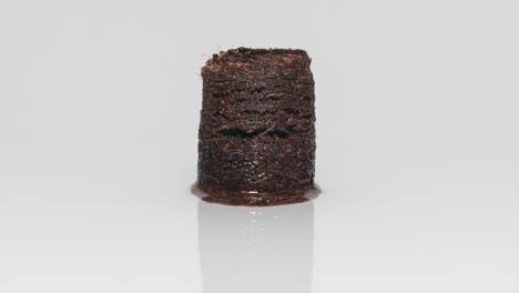 coconut peat pellet absorbing water in wet surface and extending