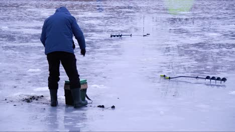 caught fish common perch, european perch lies on the ice of the river