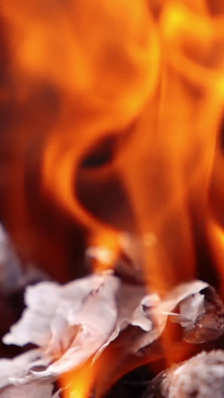 Tongues of flame fire, close up. Close up view of firewood and pinecone on fire flames on the barbeque