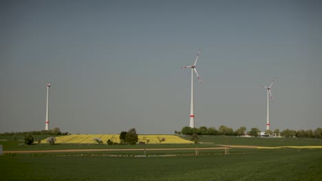 Turbinas-Eólicas-Que-Se-Elevan-Sobre-Un-Floreciente-Campo-De-Colza-Amarilla-En-Un-Día-Claro,-Concepto-De-Energía-Renovable