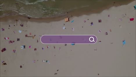 the plane glides across a solid color exposing a search bar and tranquil views of people enjoying the sun at the beache - for your chosen search term