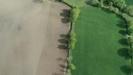 Top-down-aerial-of-two-opposing-fields,-one-is-green-and-lush-the-other-looking-drab,-tractor-works-the-ground