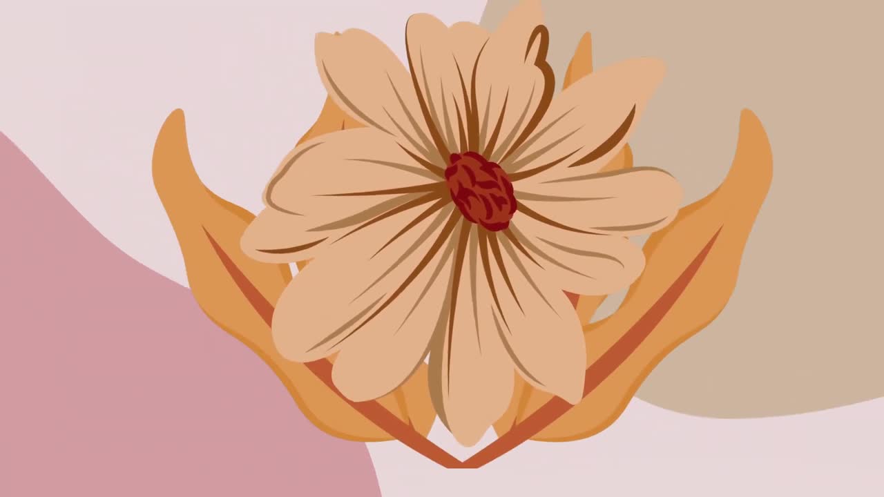animación de una flor de naranja sobre un fondo gráfico rosado