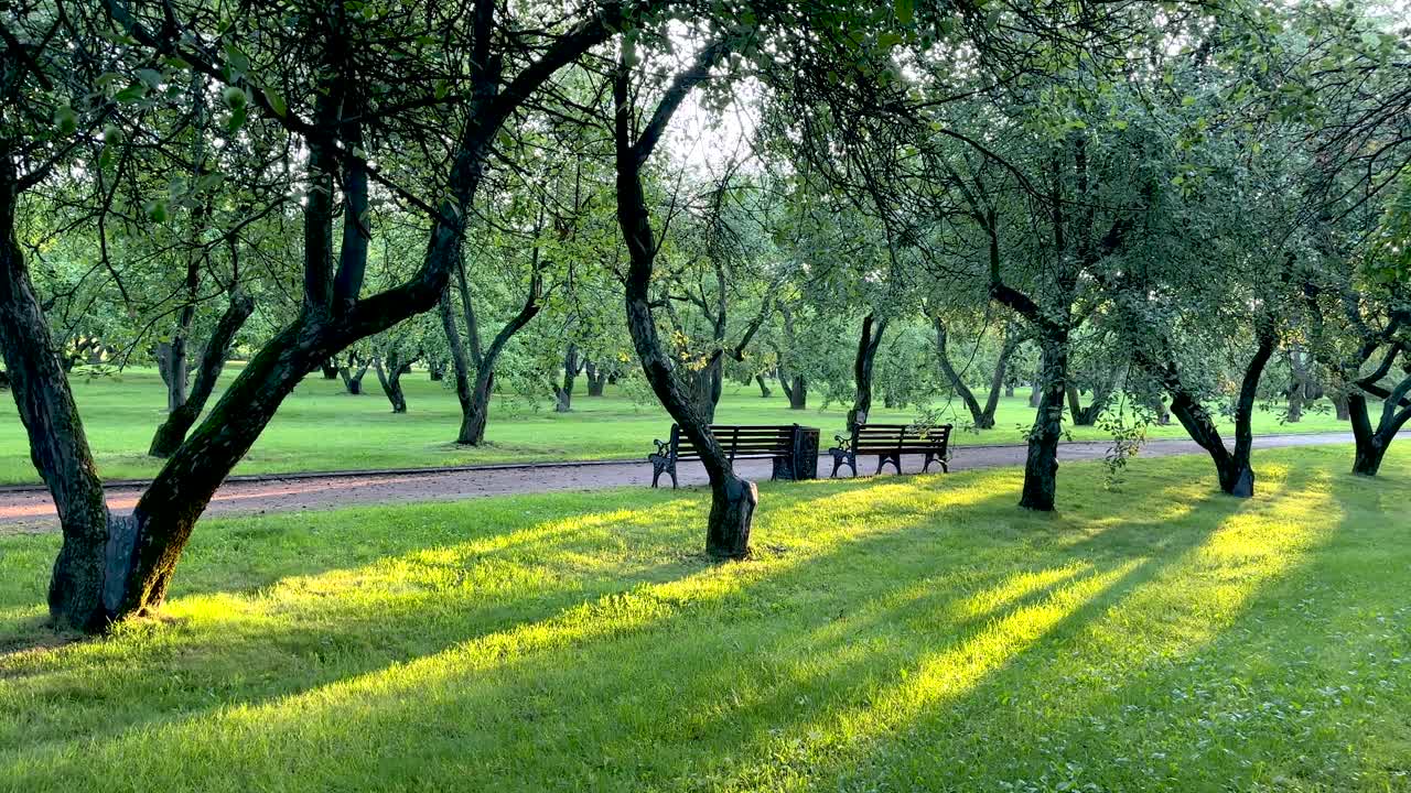 The rays of the morning sun illuminate the benches and paths (4K60)