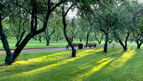 the rays of the morning sun illuminate the benches and paths (4k60)