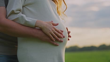 couple holds pregnant belly in a field at sunset