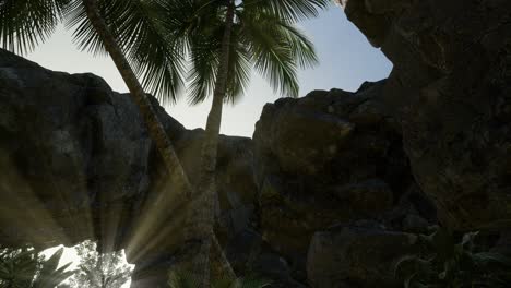 Große-Palmen-In-Einer-Steinhöhle-Mit-Sonnenstrahlen