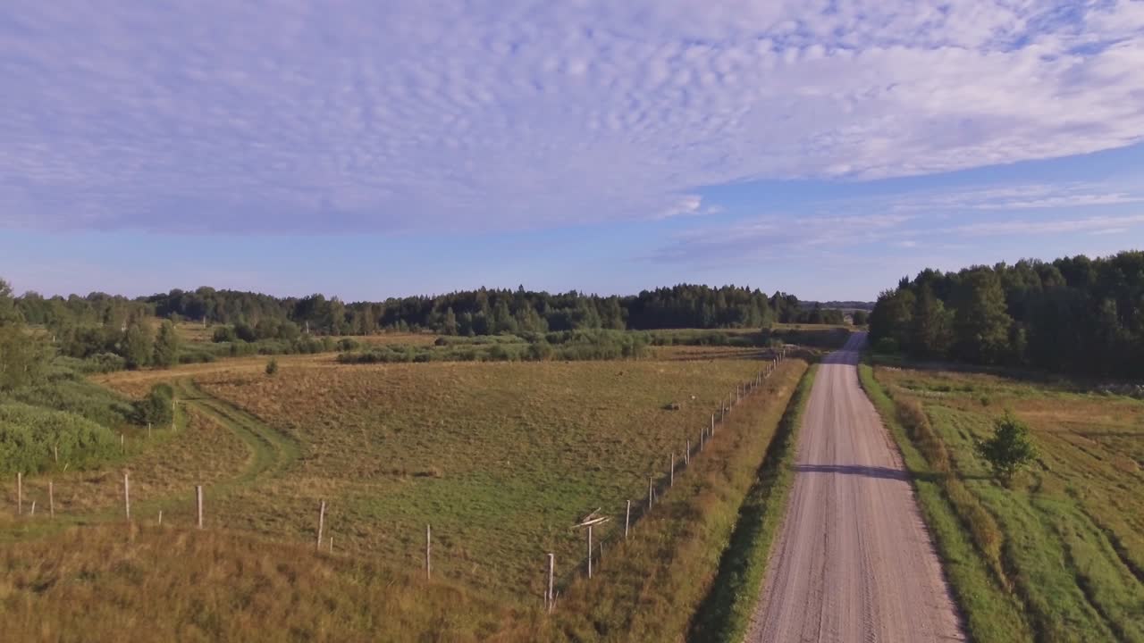 Farm Cattle Wire Fence Next to Rural Gravel Road Sunny Summer Morning. Aerial Flying Backwards And Lift-Up