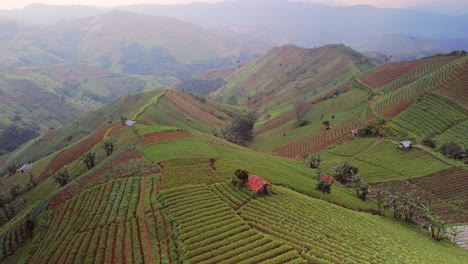 Panyaweuyan-plantation-terraces-with-huts,-dramatic-striped-agriculture-farm-crops-hugging-the-hillsides-contours-of-Indonesia-landscape