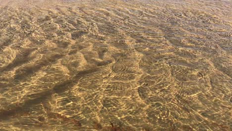 sunlight patterns in the te paki stream in northland new zealand