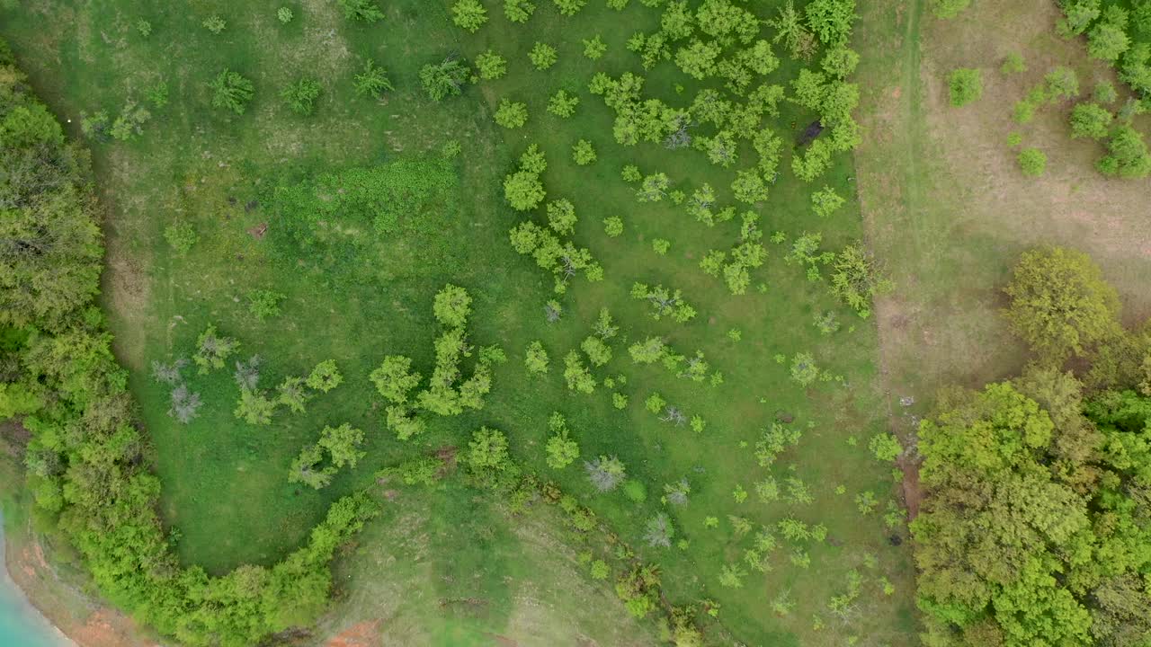 Directly above view of driveway to farm houses with lush vegetation