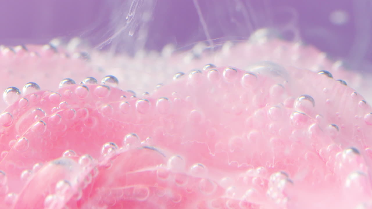 거품이 있는 물 속의 분홍색 장미