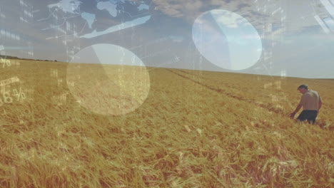 animation of statistical data processing over man walking in farm fields