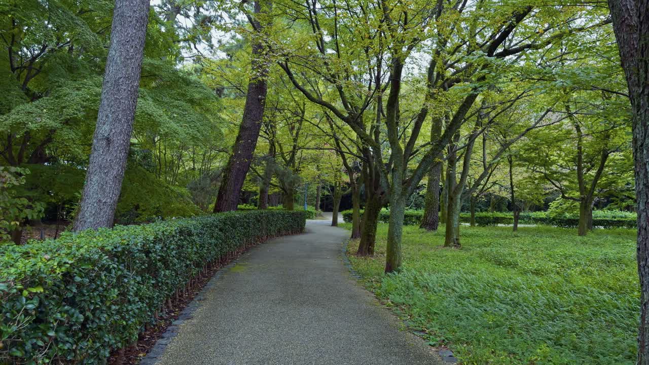 푸른 나무와 울타리로 둘러싸인 키오토 기온 국립 공원의 조용한 길