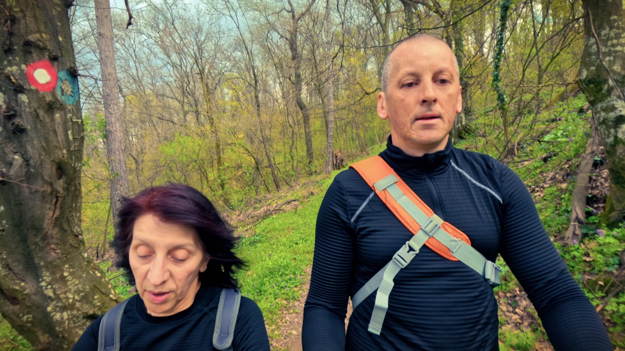 Travelers with backpacks walking through a scenic woodland path. Highlighting local tourism, weekend getaways, sightseeing, and outdoor exploration.